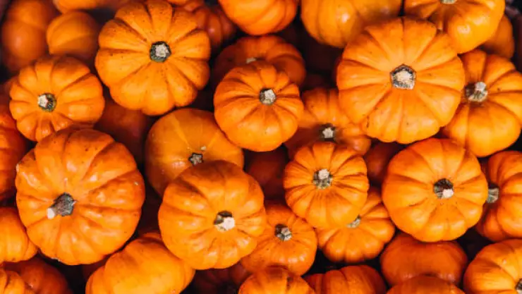 Calabazas