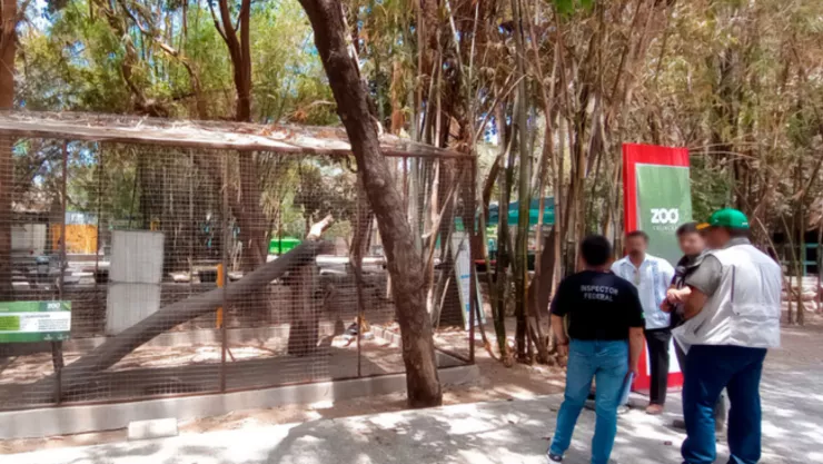Inspección en el Zoológico de Culiacán