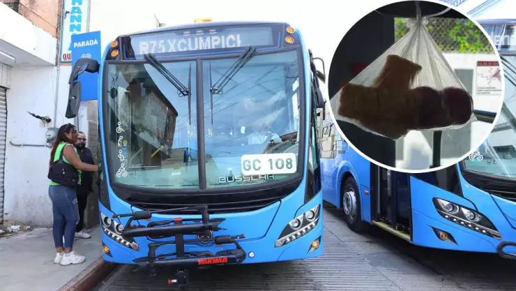 ¡Se busca! Pasajera deja OLVIDADOS sus panes en Va y Ven y se vuelve viral