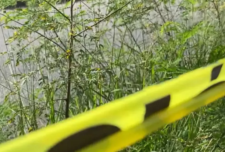 Presunto robo de un cráneo en cementerio de Hoctún provoca fuerte movilización