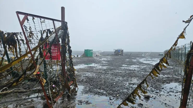 Tsunami por sismo en Rusia