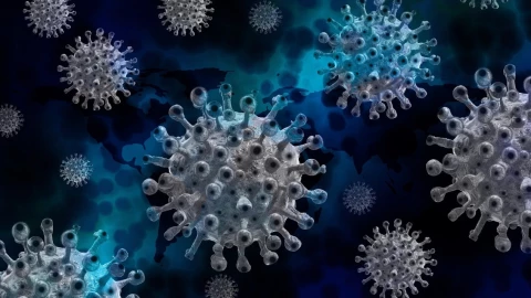 coronavirus.jpg