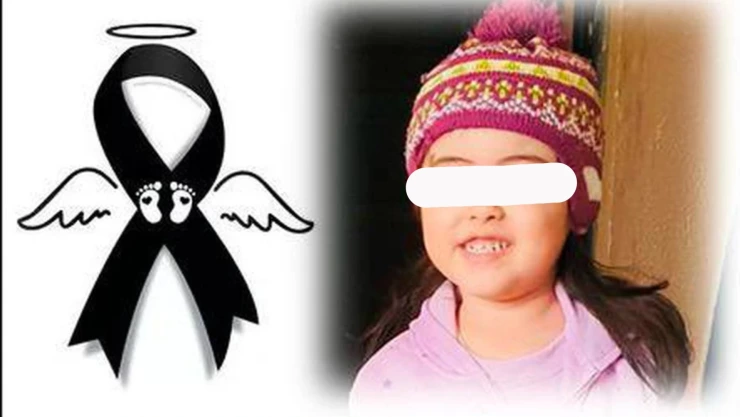 Heidi Nuevo Laredo Bala perdida