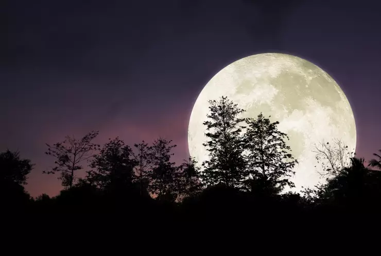 Superluna de Castor en noviembre de 2024