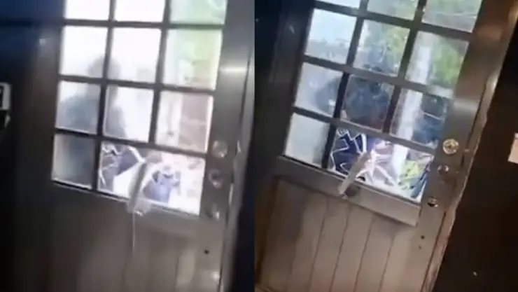 Filtran VIDEO del momento en que hombres encapuchados se llevan a periodista de Veracruz