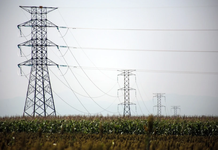 Subastas eléctricas