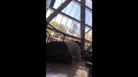 balacera_patriotismo