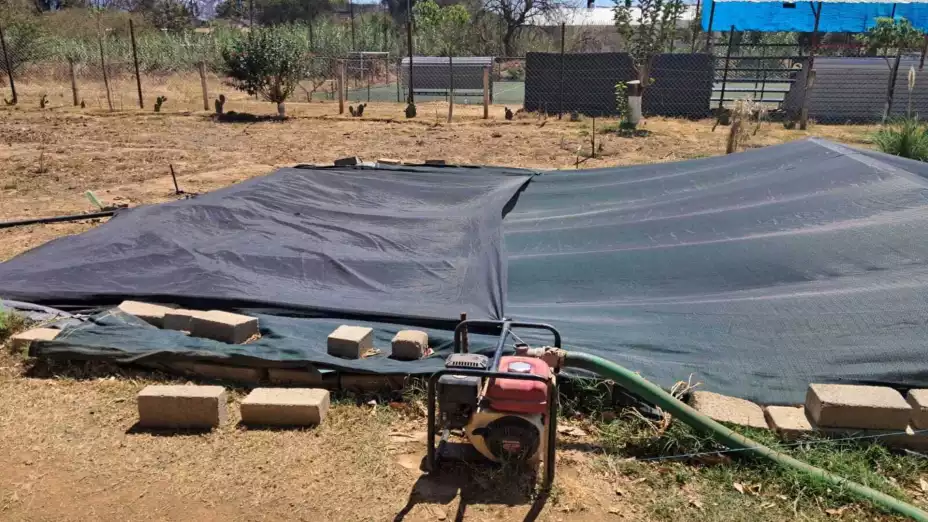 WhatsApp Image 2026-03-25 at 12..jpg