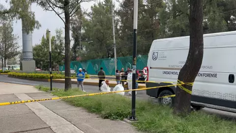 joven muere al caer de transporte público