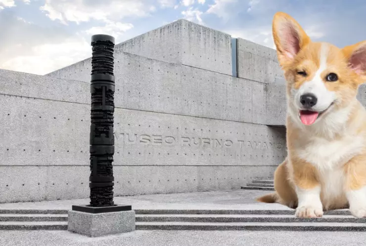 Perros podrán visitar el Museo Tamayo