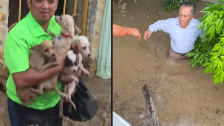 vecinos salen al rescate de personas y perritos tras inundaciones en Veracruz.jpg