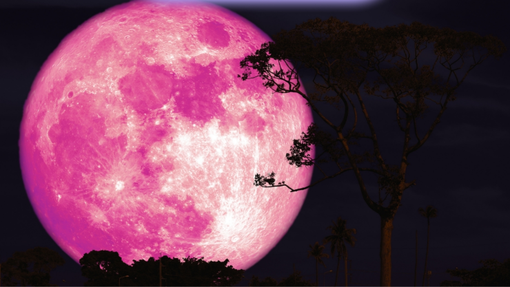 Fecha y hora para ver la Luna Rosa en Morelos.