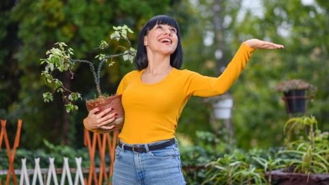 Impermeabiliza con plantas y árboles_ La lista de las mejores para acabar el riesgo en las lluvias