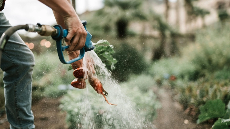 Megacorte de agua en 892 colonias de Guadalajara: ¿Cuándo regresará el servicio a la normalidad?