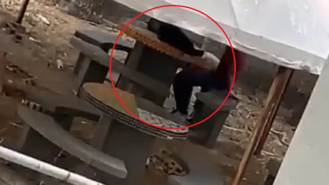 alumnos teniendo sexo escuela colombia