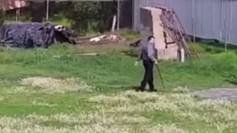 El agresor del perrito sería el subdirector de Desarrollo Urbano de Tultepec.