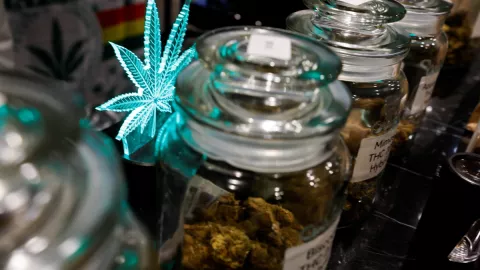 Otorgan primeras licencias para vender marihuana en Nueva York