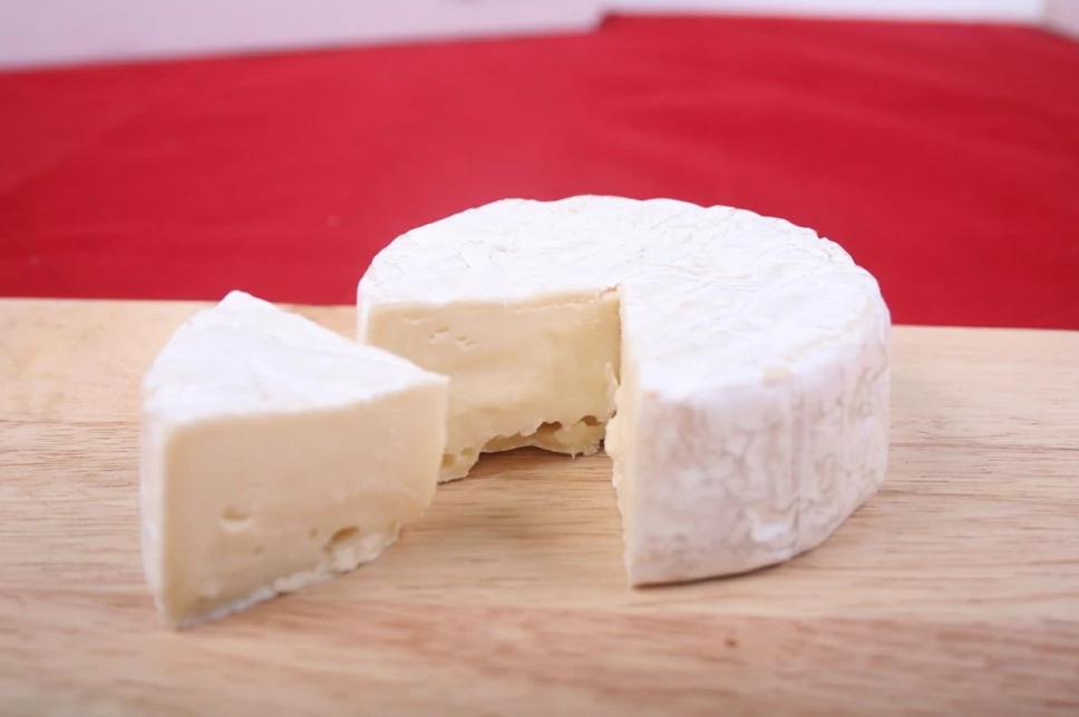 profeco-alerto-sobre-marcas-que-venden-queso-panela-falso-adn-40.jpg