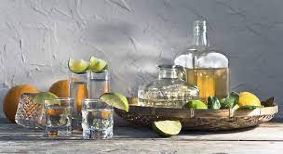 derivados agave - raicilla - denominación de origen