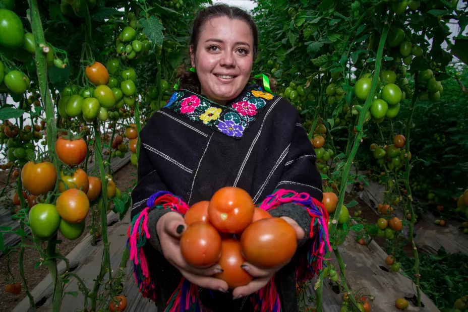 Sader 28 de mayo 2024.jpeg