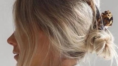 recogido peinado con pinza.jpg