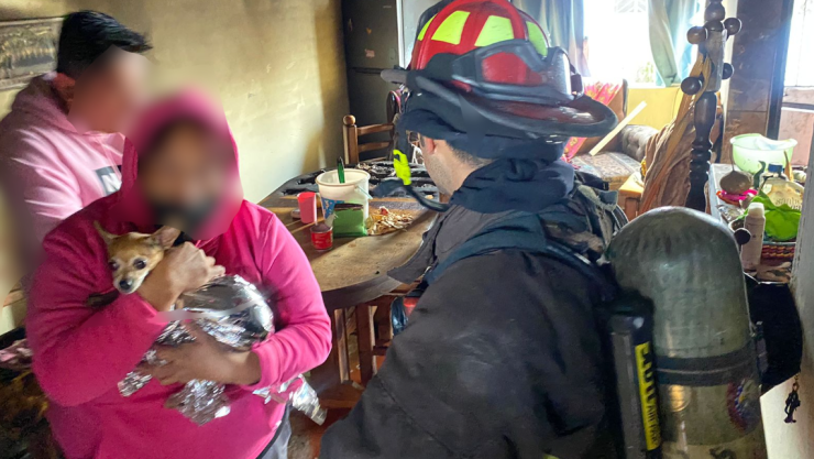 Rescatan a cinco perritos de un incendio en la colonia El Tintero Querétaro