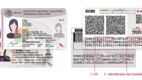 Así puedes verificar si tu credencial de elector es váida