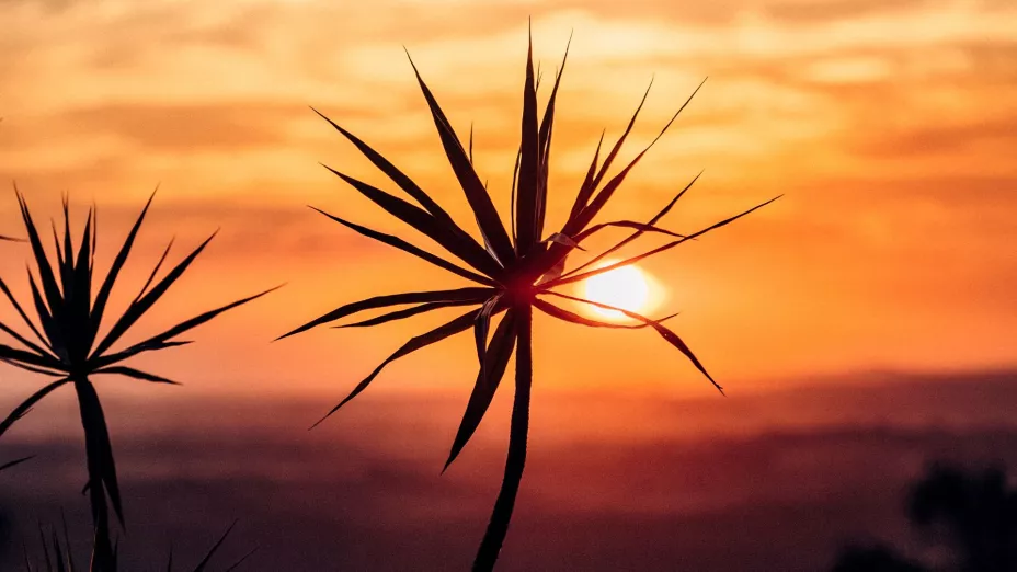 Canícula 2025 La fecha exacta en la que inicia el periodo de tiempo con más calor en México