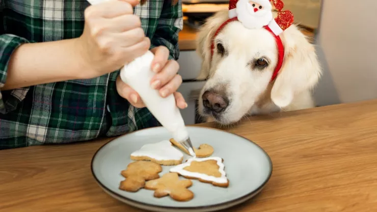 Un perro mira cómo su dueña decora unas galletas.