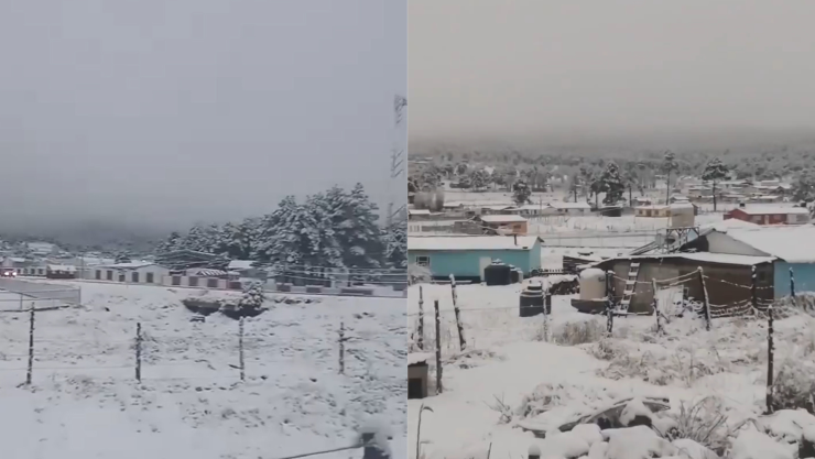 Nevadas en México enero 2026.png