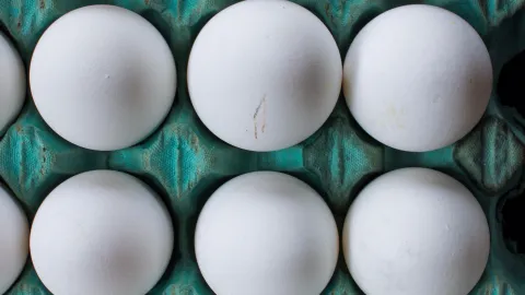 Las mejores ideas con cartones de huevo para organizar tu cocina