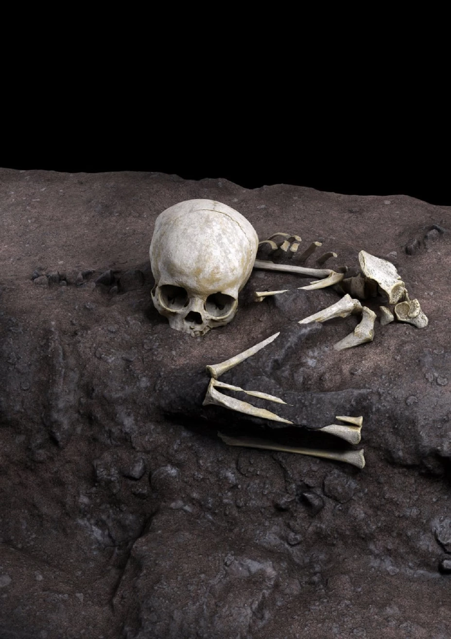 2-CENIEH Jorge González _ Elena Santos .jpg