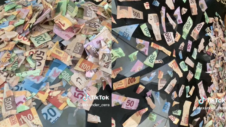 Una pequeña niña se volvió viral en Tikok tras recortar los ahorros de su tío.