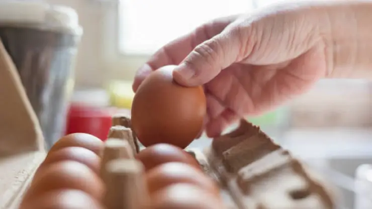 Huevos