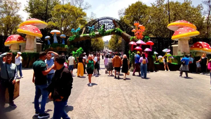 Entrada al Bosque de Chapultepec donde se encuentran los hongos gigantes.