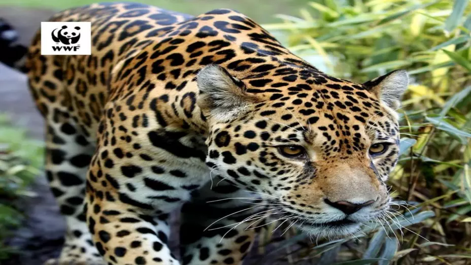 WhatsApp Image 2025-09-27 at 12..jpg