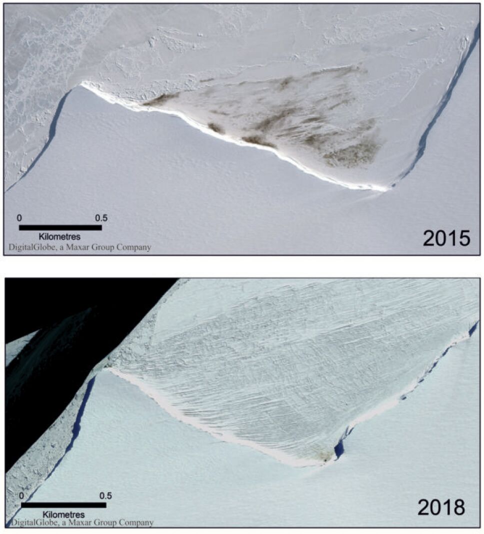 Mueren miles de crías de pingüinos en la Antártida por el cambio climático