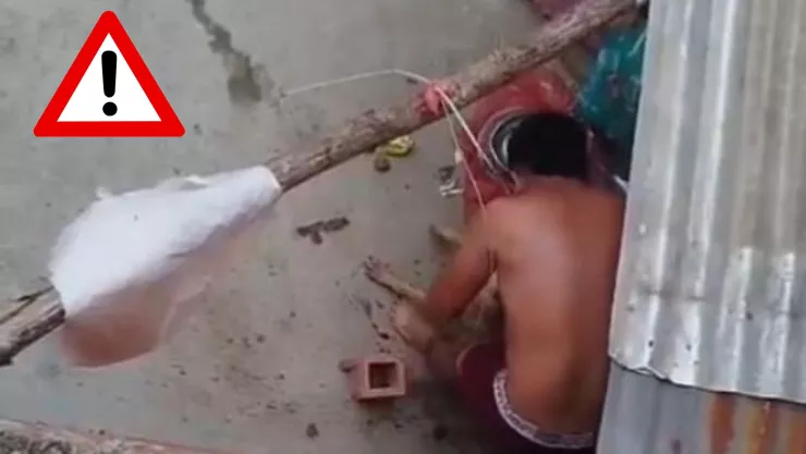 Maltrato Animal: Captan a un sujeto agrediendo a su mascota dentro de su casa (VIDEO)