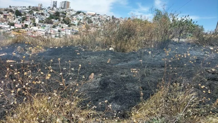 Incendio en pastizal en El Marqués, recomendaciones para prevenir