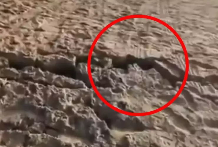 Se abren grietas en Barra Vieja tras sismo de magnitud 6.5 (VIDEO)