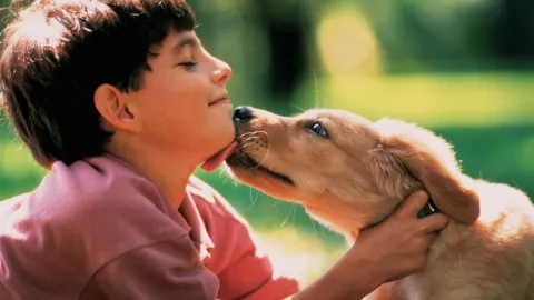 Perro y niño jugando en una resbaladilla se hacen virales