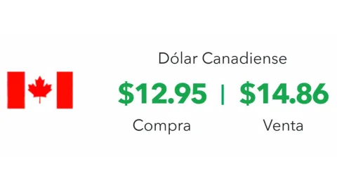 ¿En cuánto está el dólar hoy 16 de abril 2025 en México?: Tipo de cambio
