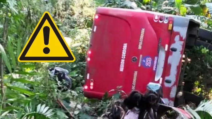 autobús cae a barranco