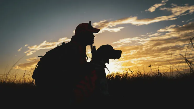por que se dice que los perros y los gatos no van al cielo