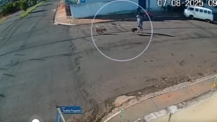 Momento en que adulto mayor es ARROLLADO por un perro