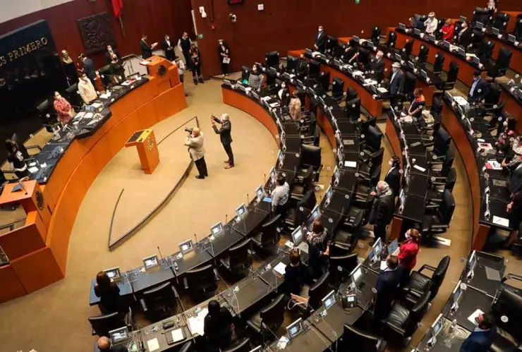 Reforma contra el nepotismo es declarada como constitucional