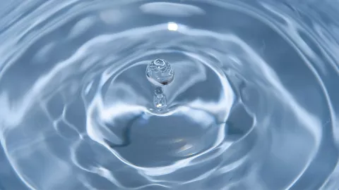 dia mundial del agua.jpg