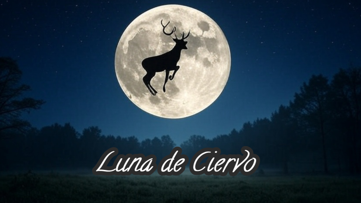 Luna de Ciervo 2025_ FECHA, HORA y lo que debes saber para verlo en JULIO.jpg
