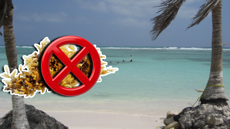 Conoce las playas libres de sargazo en Tulum, Carrillo Puerto, Bacalar y Chetumal HOY 20 de septiembre de 2025.jpg