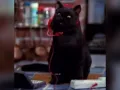 salem-saberhagen-sabrina-la-bruja-adolescente